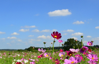 ���j�C���[�W