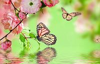 ���j�C���[�W