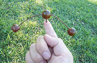 ���j�C���[�W